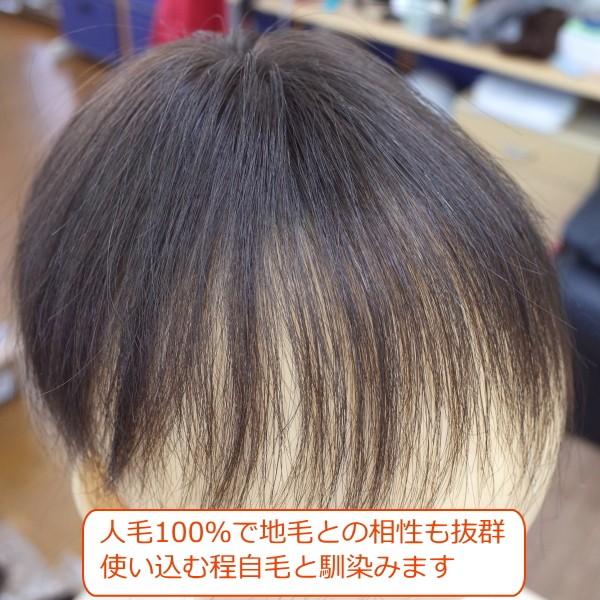さくら倶楽部 部分ウィッグ 人毛100％ Sサイズ 女性用レディース医療用