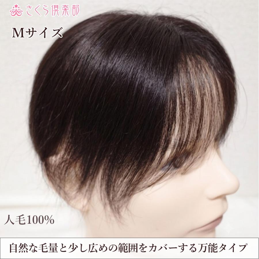 さくら倶楽部 男性用メンズ部分ウィッグ人毛100% 男性かつら top-02n M