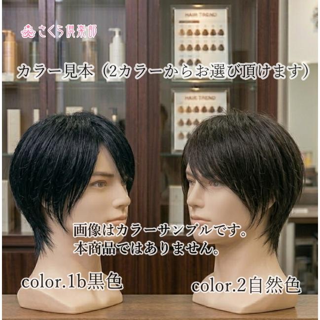 さくら倶楽部 男性用メンズ部分ウィッグ人毛100% 男性かつら top-02n M