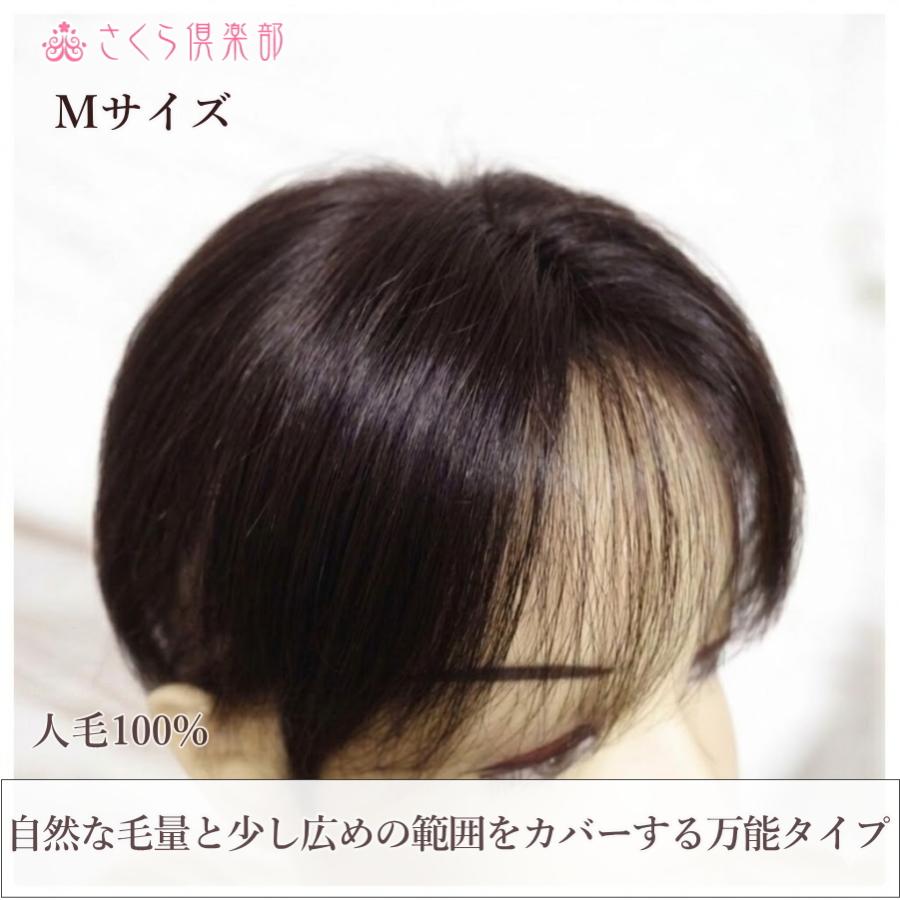 さくら倶楽部 部分ウィッグ 人毛100% 総手植え Mサイズ top-02n