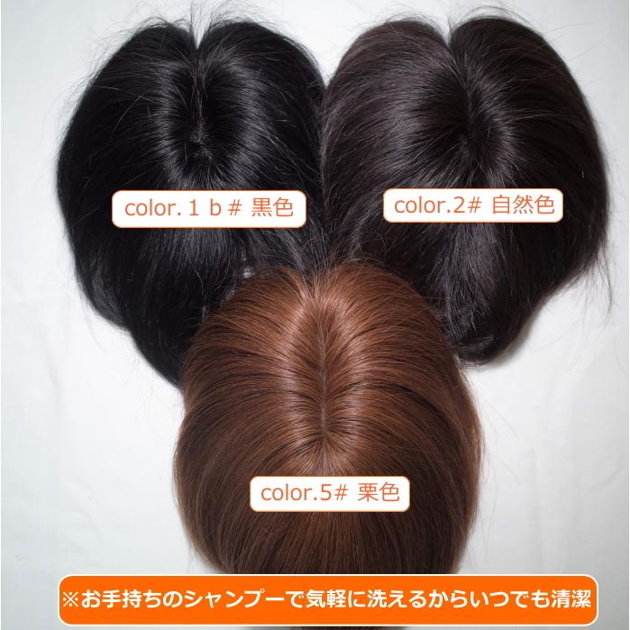 さくら倶楽部 メンズ 部分ウィッグ 部分かつら 人毛100% L さくら倶楽部 メンズ 部分ウィッグ 部分かつら 人毛100% L