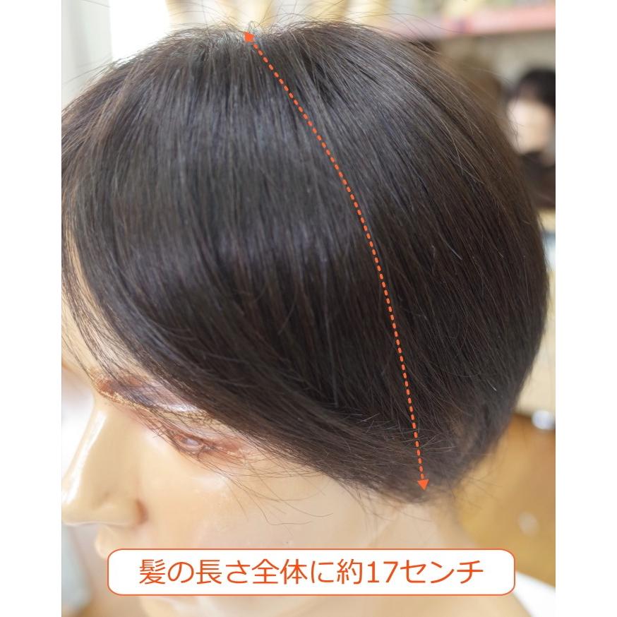 さくら倶楽部 メンズ 部分ウィッグ 部分かつら 人毛100% L さくら倶楽部 メンズ 部分ウィッグ 部分かつら 人毛100% L