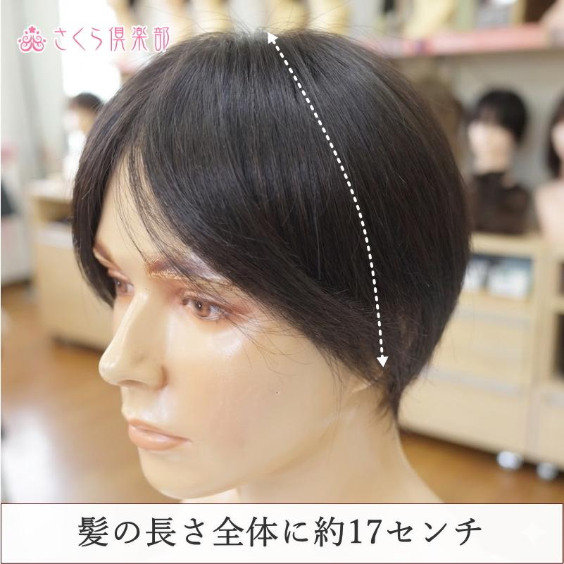 さくら倶楽部 男性用メンズ部分ウィッグ人毛100% top-07 Lサイズ