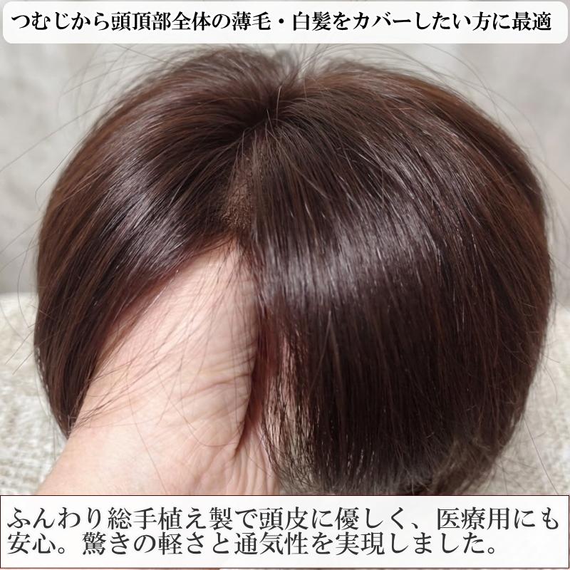 さくら倶楽部 男性用メンズ部分ウィッグ人毛100% top-07 Lサイズ