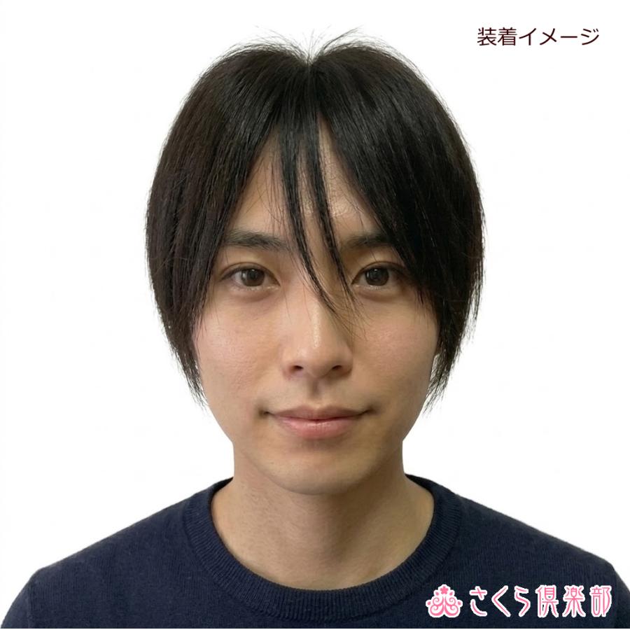 男性用メンズ部分ウィッグ人毛100% top-07 Lサイズ センター分け 総手植え 14×13cm リアル人工皮膚 ナチュラルストレート 白髪隠し 薄毛隠し 男女兼用 軽量の画像