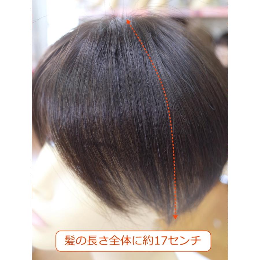 部分ウィッグ 人毛100% 女性 レディース 総手植え Lサイズ top-07 ヘアピース 特殊人工皮膚付き センター分け ストレート 医療用 かつら 自然 軽いの画像