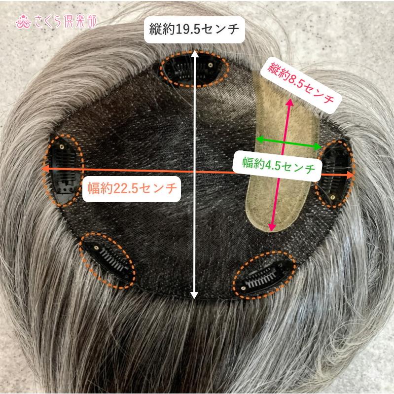 さくら倶楽部 男性用メンズ部分ウィッグ人毛100% top-1000 特大Lサイズ