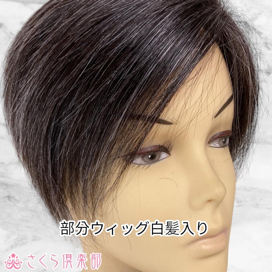 部分ウィッグ 人毛100 総手植え製 左分け 白髪 Lサイズ Top 104s Www Iainlangsa Ac Id