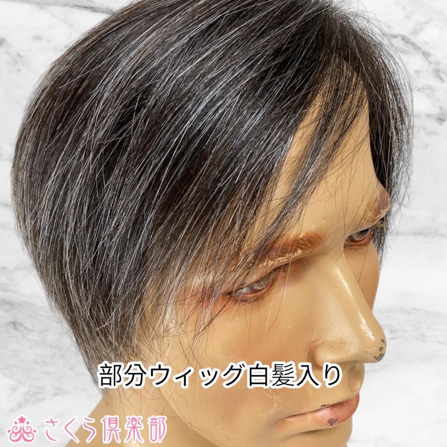 メンズウィッグ 部分ウィッグ 左分け白髪10 Top 104s Top 104s M 人毛部分ウィッグ通販さくら倶楽部 通販 Yahoo ショッピング