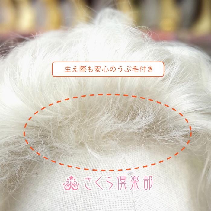 部分ウィッグ　女性 レディース 穴あき 白髪100% ミセス向け 人工毛 ショートカール Lサイズ 総手植え製 top-200の画像