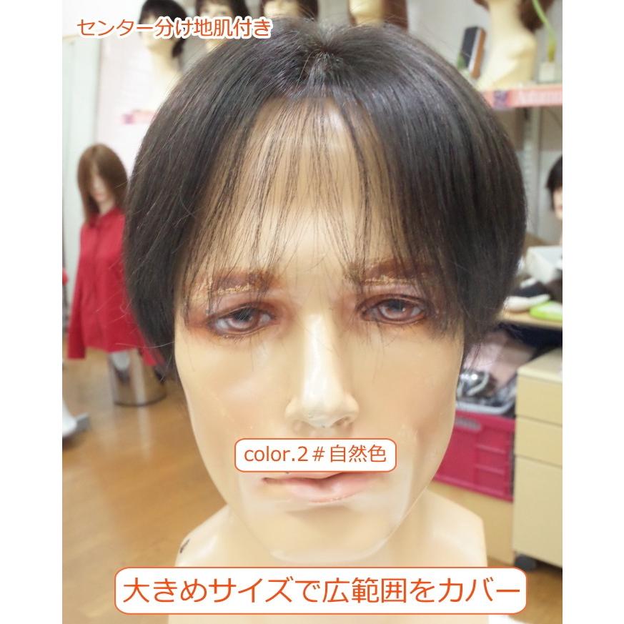 男性用メンズ部分ウィッグ人毛100% top-600 Lサイズ センター分け 総手植え 17×17cm 特殊人工皮膚 ナチュラルストレート 白髪隠し 薄毛隠し 広範囲カバー 軽量の画像