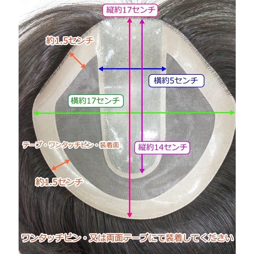 男性用メンズ部分ウィッグ人毛100% top-600 Lサイズ センター分け 総手植え 17×17cm 特殊人工皮膚 ナチュラルストレート 白髪隠し 薄毛隠し 広範囲カバー 軽量の画像