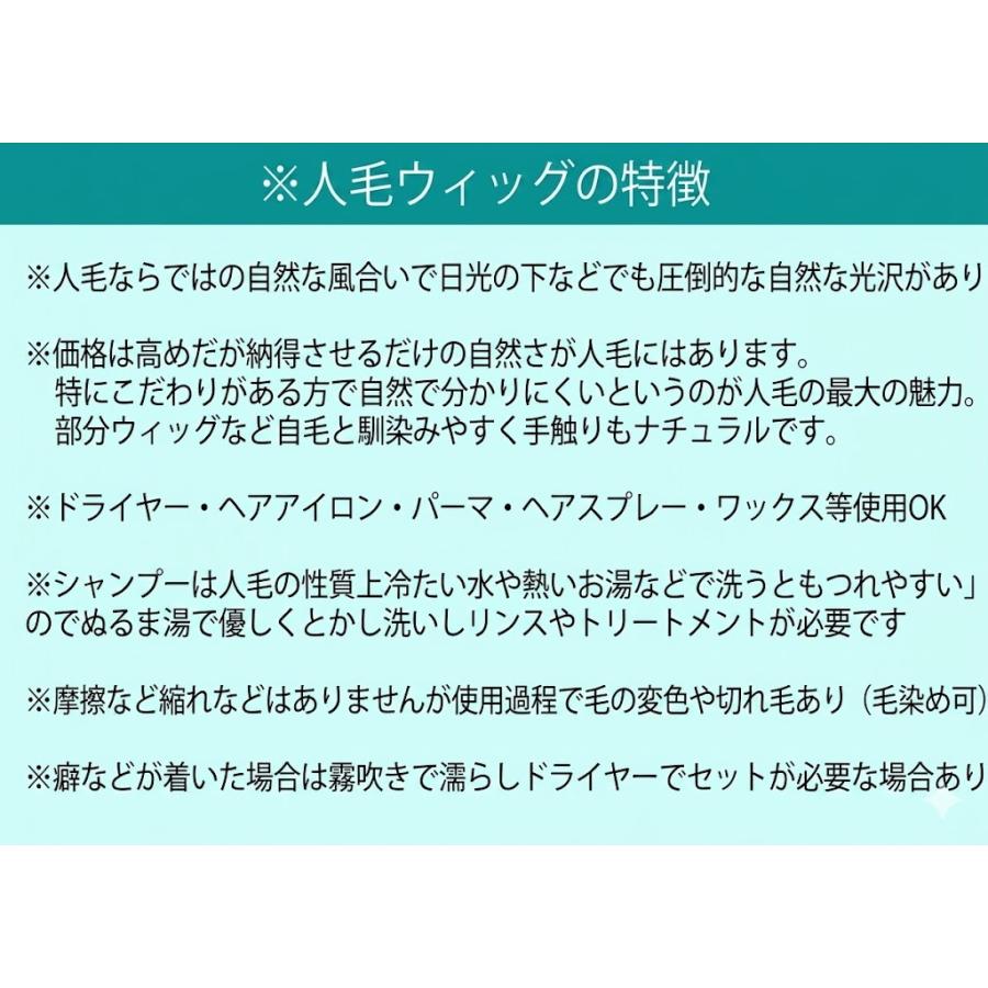 男性用メンズ部分ウィッグ人毛100% top-600 Lサイズ センター分け 総手植え 17×17cm 特殊人工皮膚 ナチュラルストレート 白髪隠し 薄毛隠し 広範囲カバー 軽量の画像