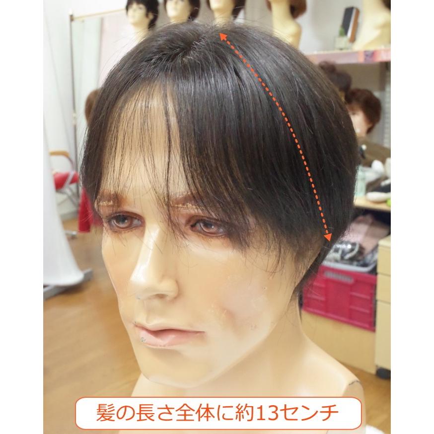 男性用メンズ部分ウィッグ人毛100% top-600 Lサイズ センター分け 総手植え 17×17cm 特殊人工皮膚 ナチュラルストレート 白髪隠し 薄毛隠し 広範囲カバー 軽量の画像