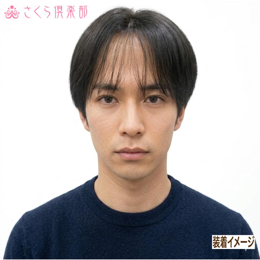 男性用メンズ部分ウィッグ人毛100% top-600 Lサイズ センター分け 総手植え 17×17cm 特殊人工皮膚 ナチュラルストレート 白髪隠し 薄毛隠し 広範囲カバー 軽量の画像