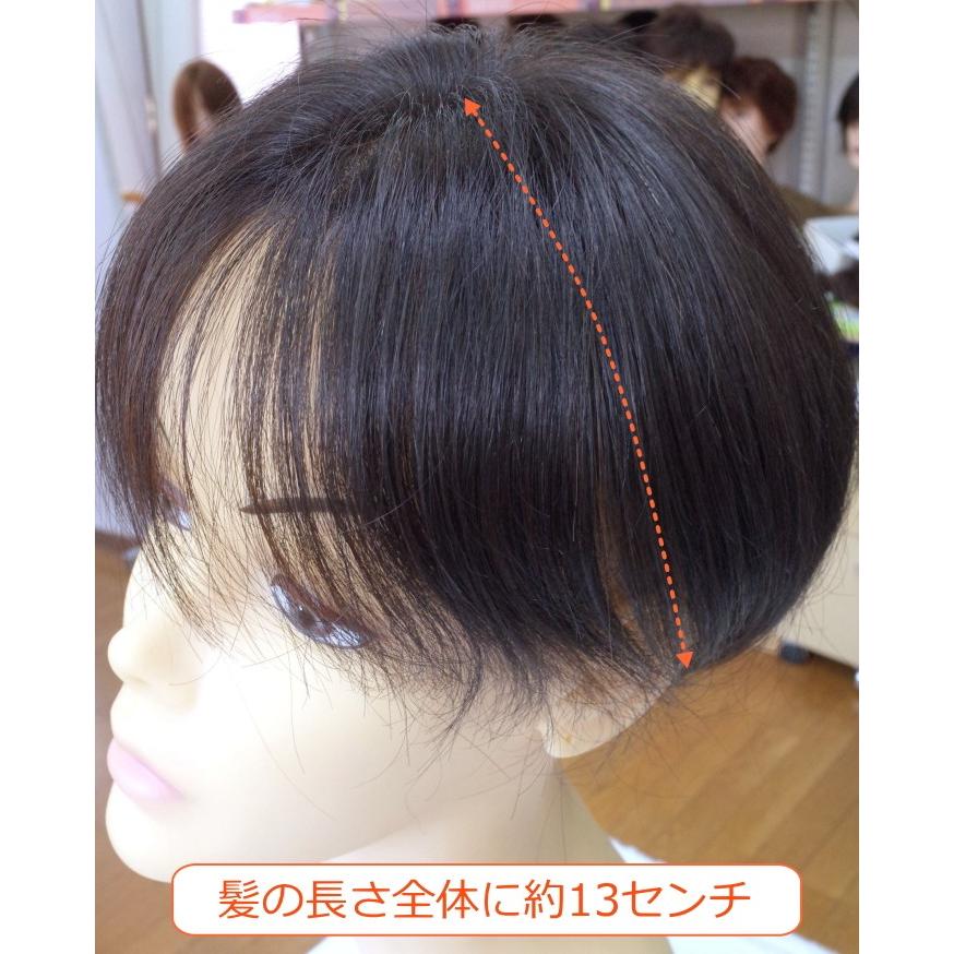 さくら倶楽部 部分ウィッグ 人毛100% 特殊人工皮膚付き 女性用 さくら倶楽部 部分ウィッグ 人毛100% 特殊人工皮膚付き 女性用