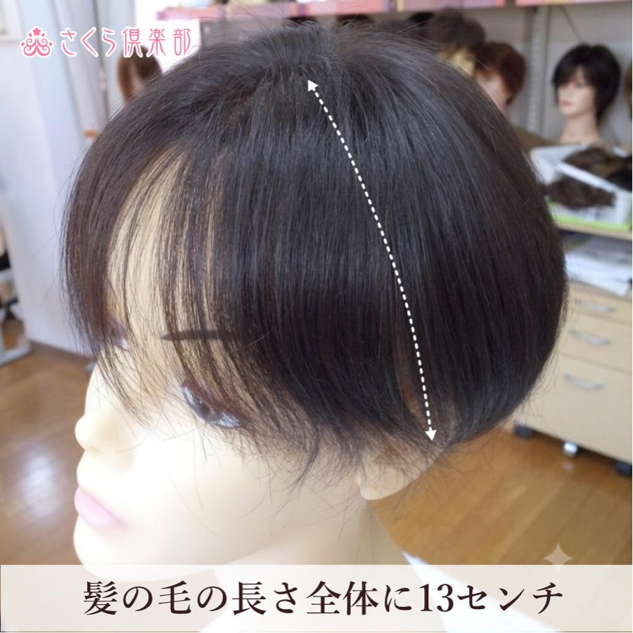 新品　広がらない　人毛　ウィッグ　人工皮膚付き　自然色３5㎝　Ｍサイズ さくら倶楽部 レディース 部分ウィッグ 人毛100% 女性 総手植え L