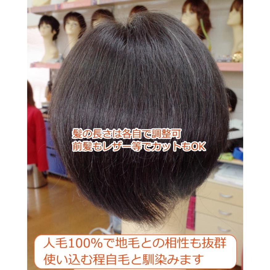 さくら倶楽部 部分ウィッグ 人毛100% 特殊人工皮膚付き 女性用 さくら倶楽部 部分ウィッグ 人毛100% 特殊人工皮膚付き 女性用