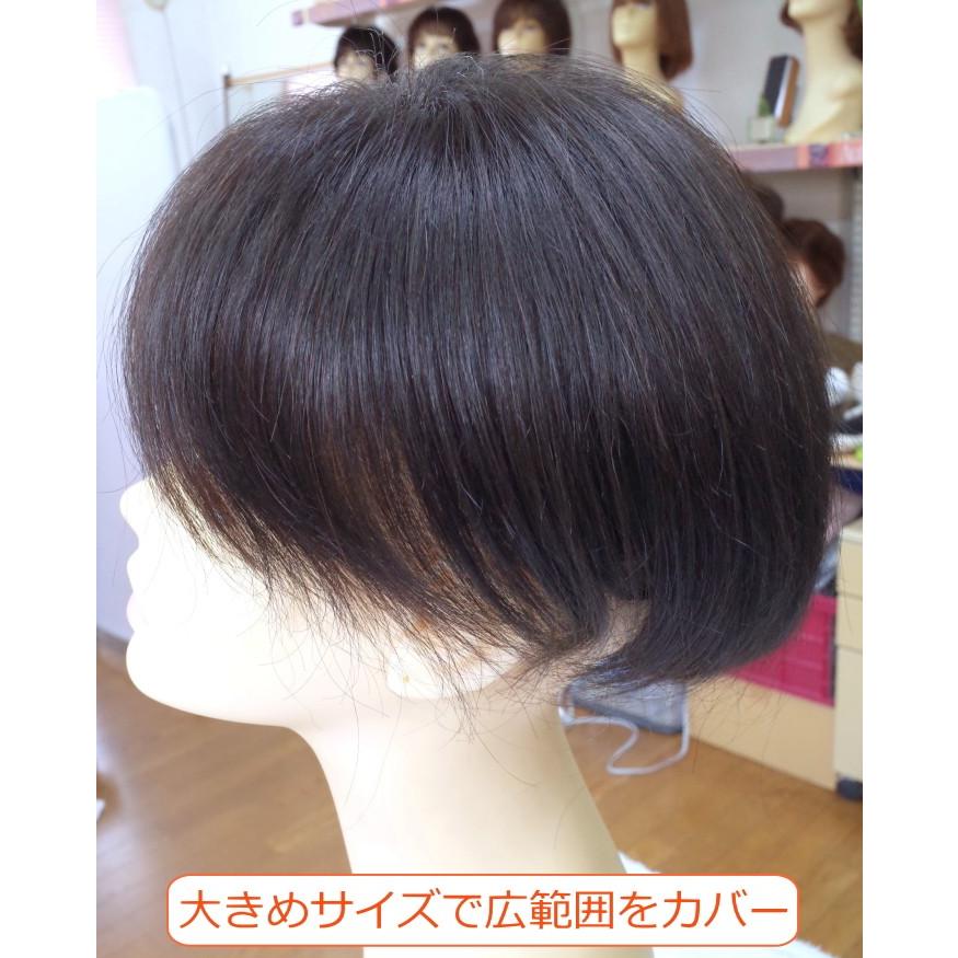 さくら倶楽部 部分ウィッグ 人毛100% 特殊人工皮膚付き 女性用 さくら倶楽部 部分ウィッグ 人毛100% 特殊人工皮膚付き 女性用