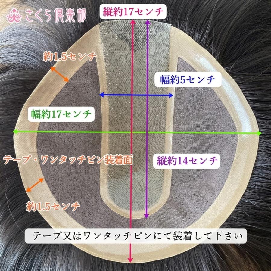 さくら倶楽部 レディース 部分ウィッグ 人毛100% 女性 総手植え L