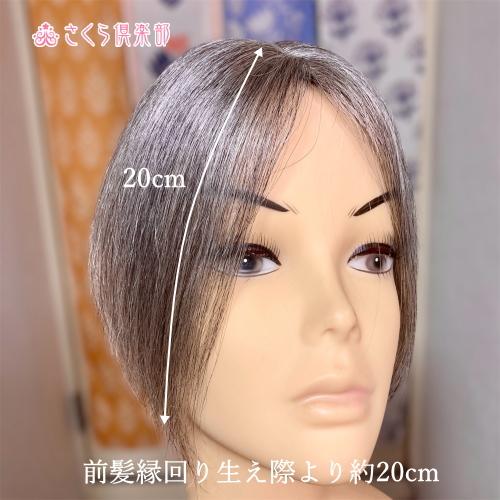 さくら倶楽部 部分ウィッグ 人毛ミックス 白髪60% top-800a 縦長M