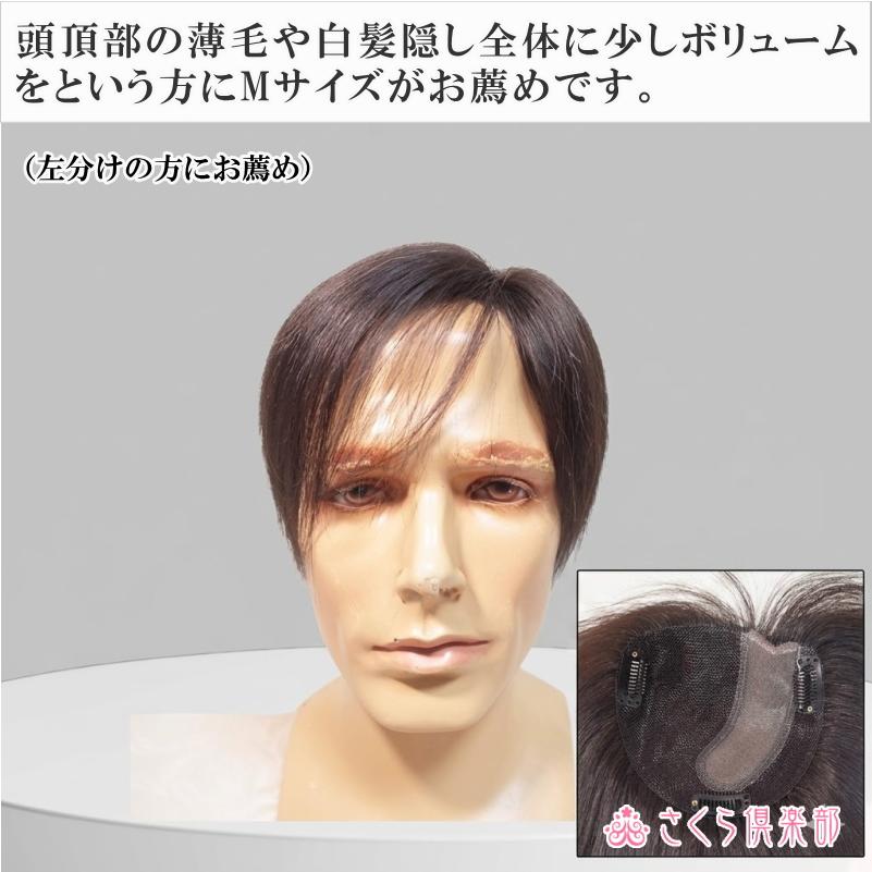 さくら倶楽部 人毛100% 男性用 部分ウィッグ top-dx2a 【総手植え