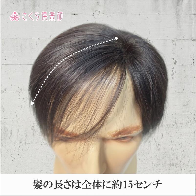 さくら倶楽部 人毛100% 男性用 部分ウィッグ top-dx2a 【総手植え