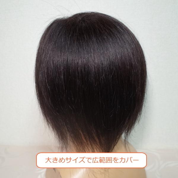 さくら倶楽部 男性用メンズ部分ウィッグ人毛100% 総手植え製 左 さくら倶楽部 男性用メンズ部分ウィッグ人毛100% 総手植え製 左