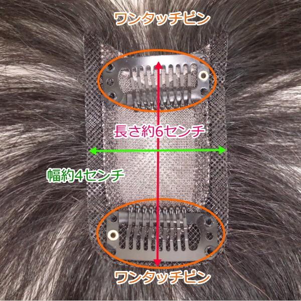 さくら倶楽部 メンズ 部分ウィッグ 人毛100％ Sサイズ top-s(説明動画