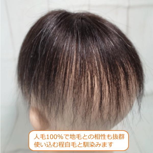 さくら倶楽部 男性用メンズ部分ウィッグ人毛 100％ Sサイズ top-s白髪 