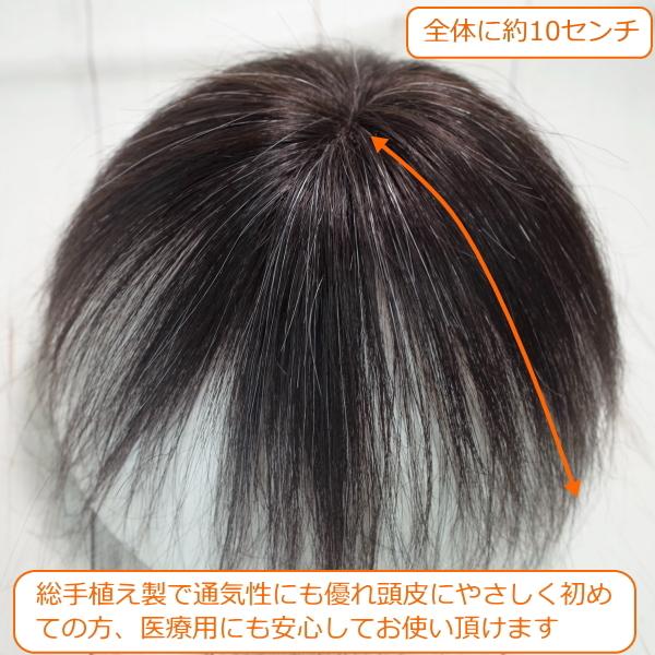 さくら倶楽部 男性用メンズ部分ウィッグ人毛 100％ Sサイズ top-s白髪 