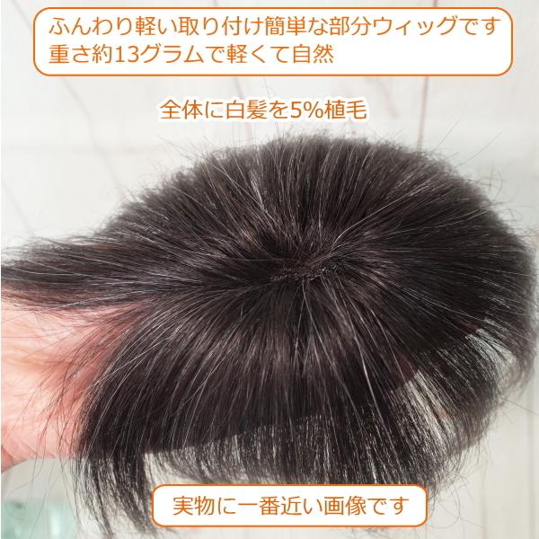 さくら倶楽部 男性用メンズ部分ウィッグ人毛 100％ Sサイズ top-s白髪 