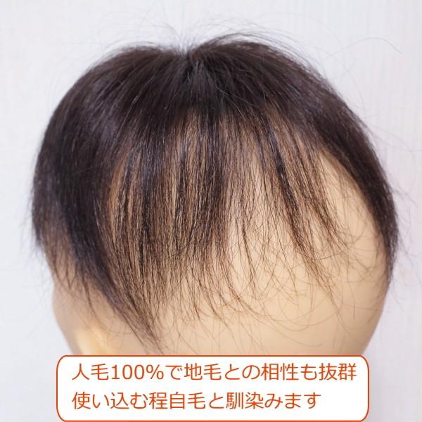 さくら倶楽部 部分ウィッグ 人毛100% 女性 レディース 総手植え S