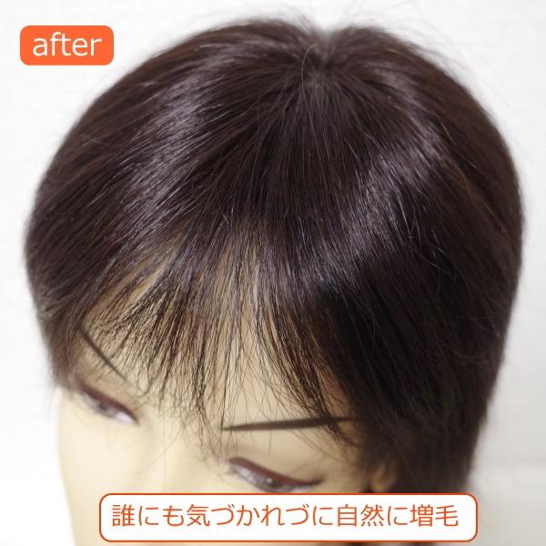 さくら倶楽部 部分ウィッグ 人毛100％ ストレート 総手植え製 S