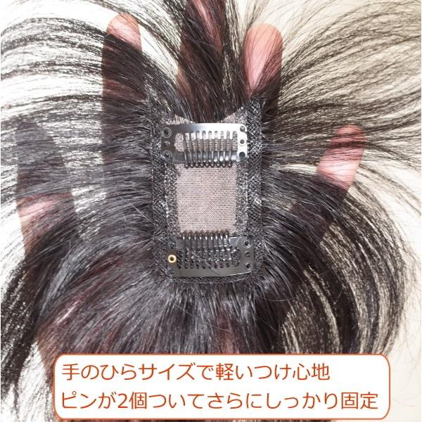 さくら倶楽部 部分ウィッグ 人毛100％ ストレート 総手植え製 Sサイズ