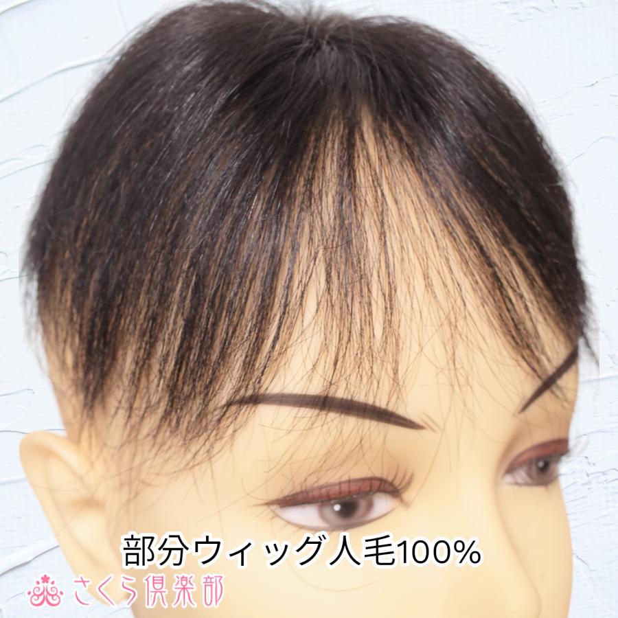 さくら倶楽部 部分ウィッグ 人毛100% 女性 レディース 総手植え S