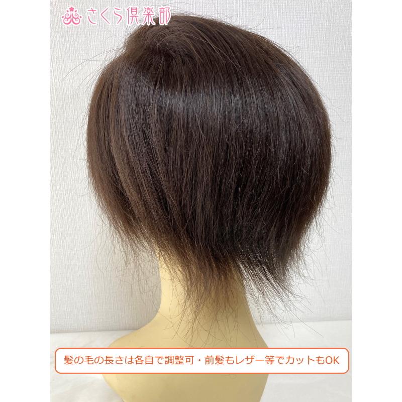 部分ウィッグ 人毛100% 女性 レディース総手植え Lサイズ top-104