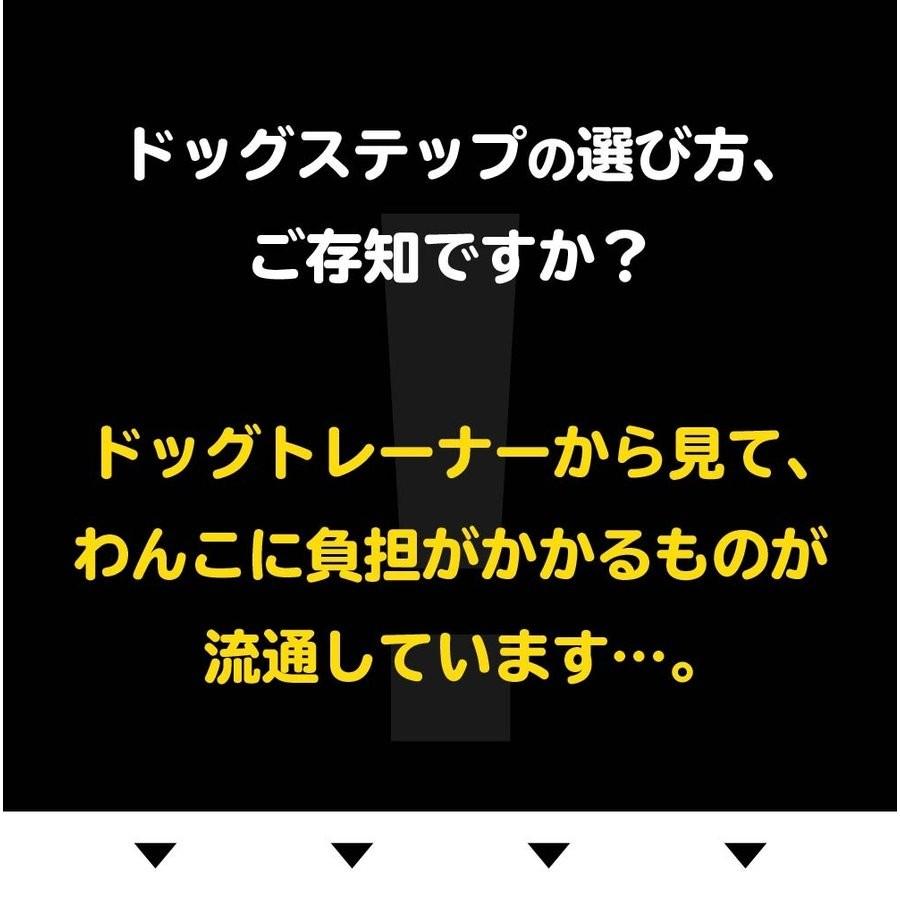 ドッグトレーナー監修 不満点をわんこ目線で解決 ドッグステップ
