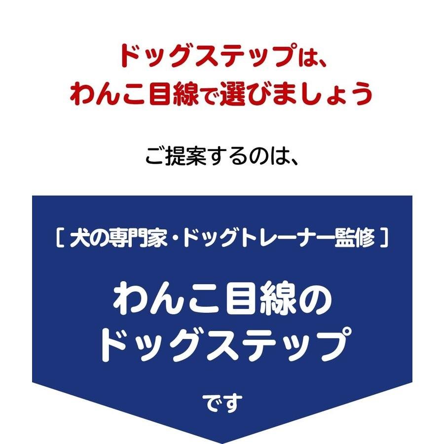 ドッグトレーナー監修 不満点をわんこ目線で解決 ドッグステップ
