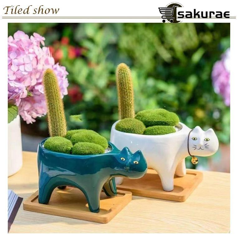 おしゃれ 植木鉢 プランター 多肉植物鉢 2個セット サボテン鉢 猫