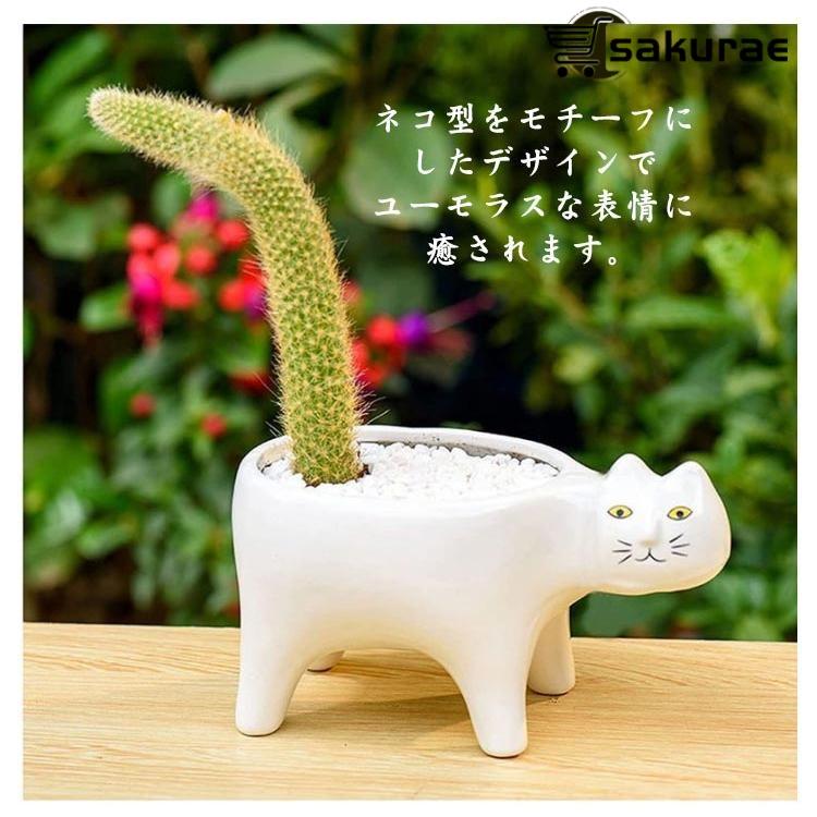 おしゃれ 植木鉢 プランター 多肉植物鉢 2個セット サボテン鉢 猫