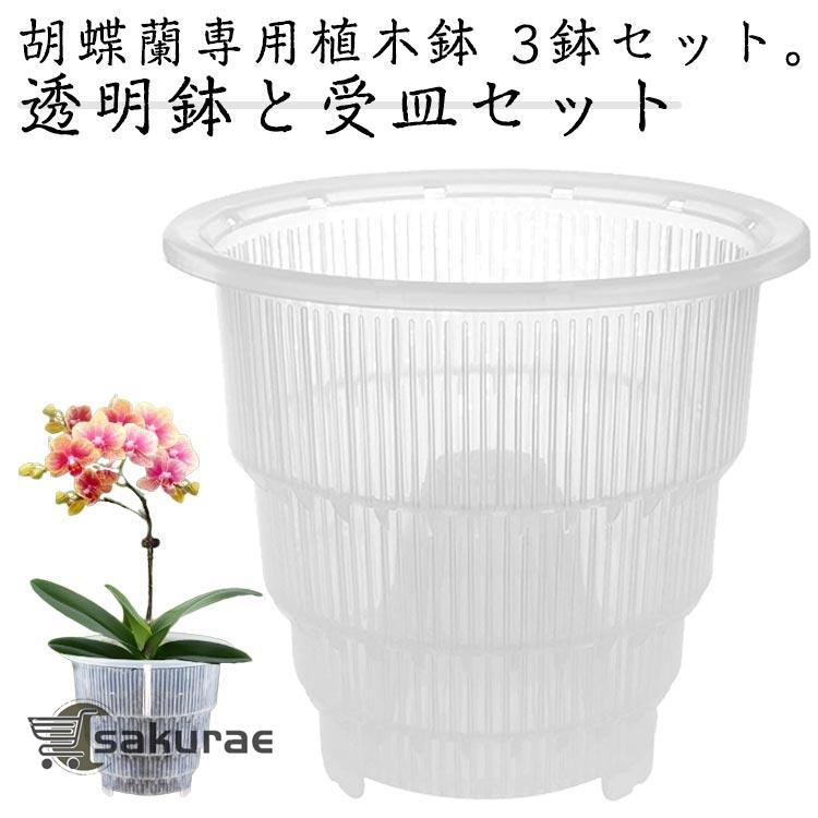 胡蝶蘭専用 植木鉢 3鉢セット 胡蝶蘭の植え替え 鉢 受皿付き 多穴型