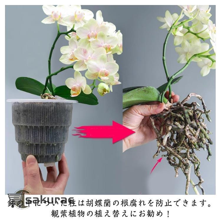 胡蝶蘭専用 植木鉢 3鉢セット 胡蝶蘭の植え替え 鉢 受皿付き 多穴型
