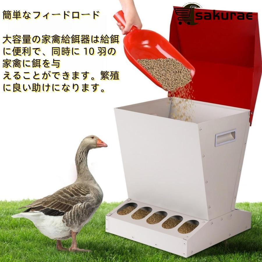 【さくら】鳥の餌セット さくら】鳥の餌セット さくら】鳥の餌セット 鳥用フード/鳥用品|