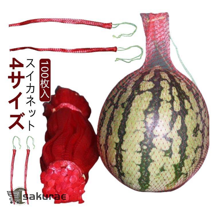 スイカ 秋田県産,すいか,JAこまち「あきた夏丸チッチェ」 L×2玉入り