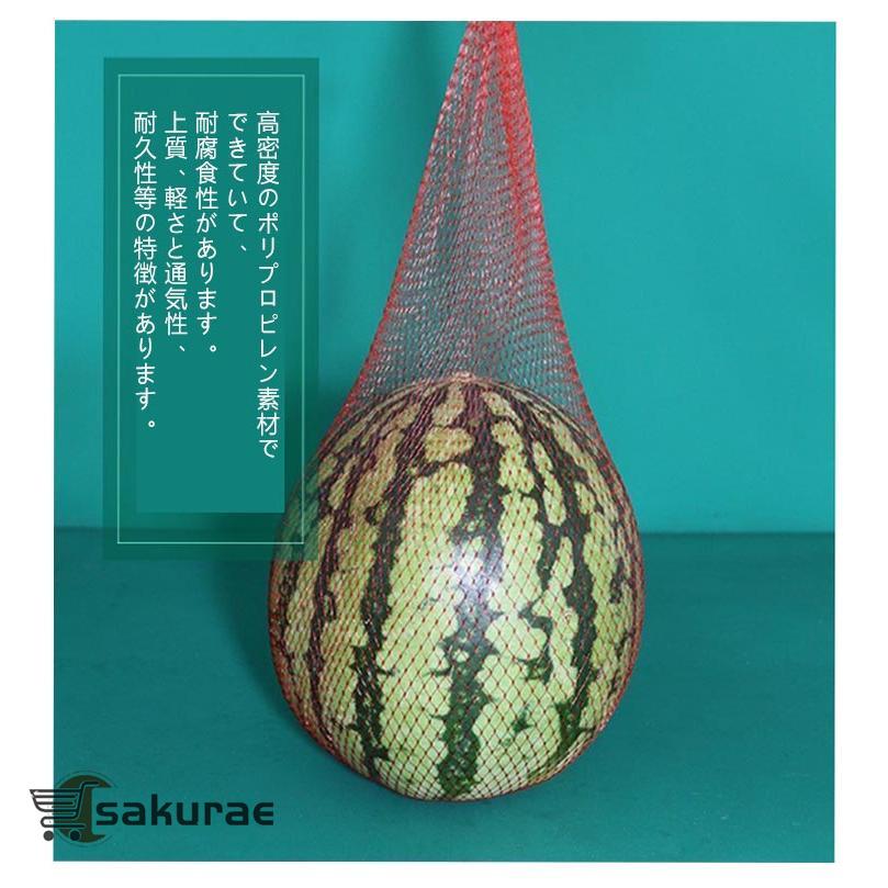 リクエスト！スイカ大サイズ✨手作り額付き作品「へい！お待ちニャンコ