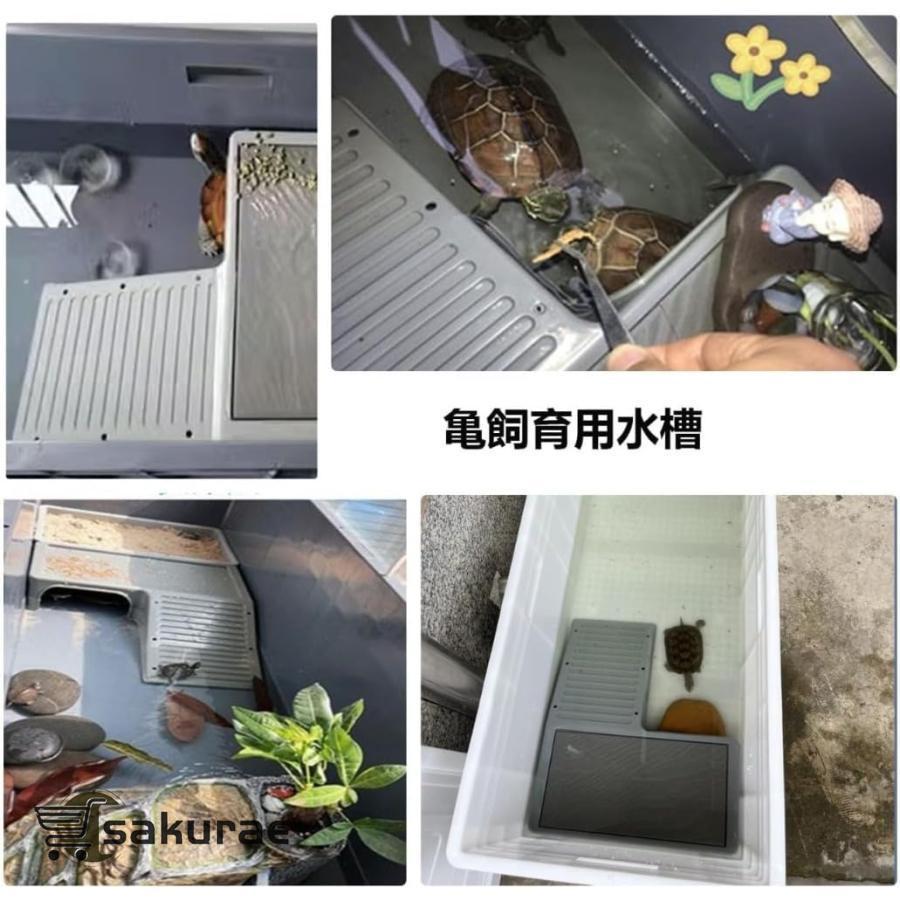 亀飼育用水槽 カメ用水槽 大型カメ飼育ケース 亀水槽 大きい 亀観察飼育用プラス_1