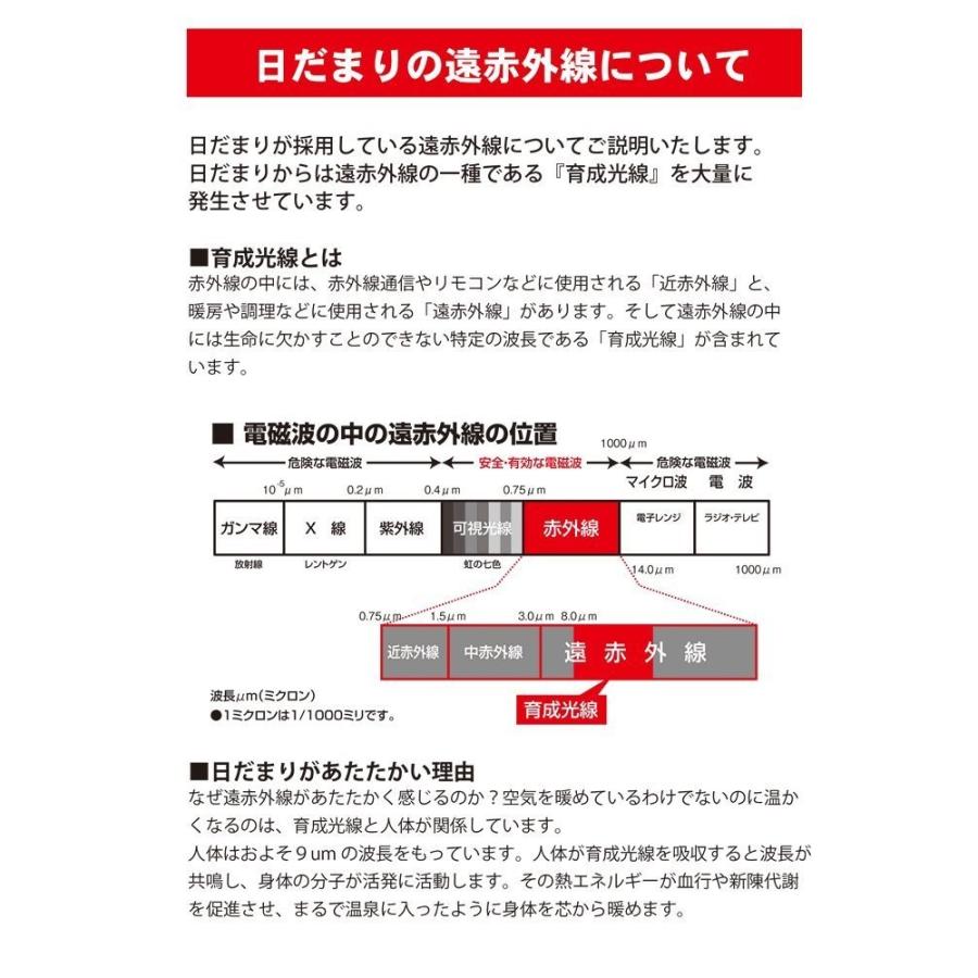 ポイント2倍付【予約販売・納期約1週間】遠赤王 遠赤外線 ポイント2倍付【予約販売・納期約1週間】遠赤王 遠赤外線