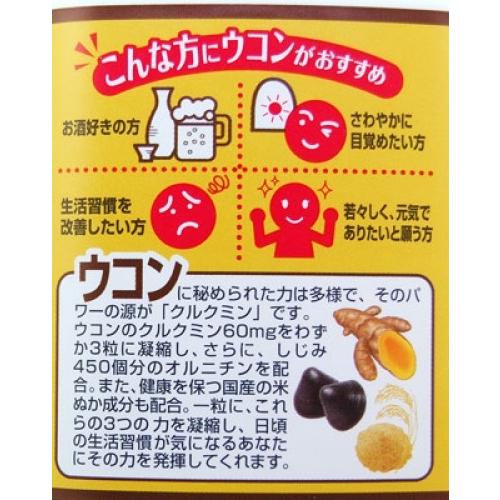 3倍力 ウコン 10袋セット/中京医薬品/1袋（3粒入り） トリブルパワー 