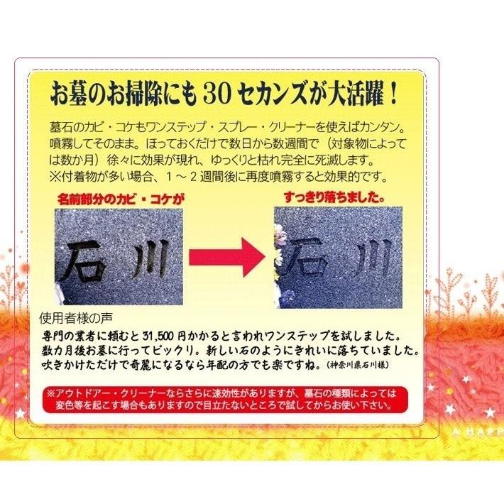 お得3個セット【アルタン】30セカンズ ワンステップスプレークリーナー2Ｌ（5倍希釈）×3個【コケ・カビの除去に・再発防止クリーナー】｜sakuraeki｜07